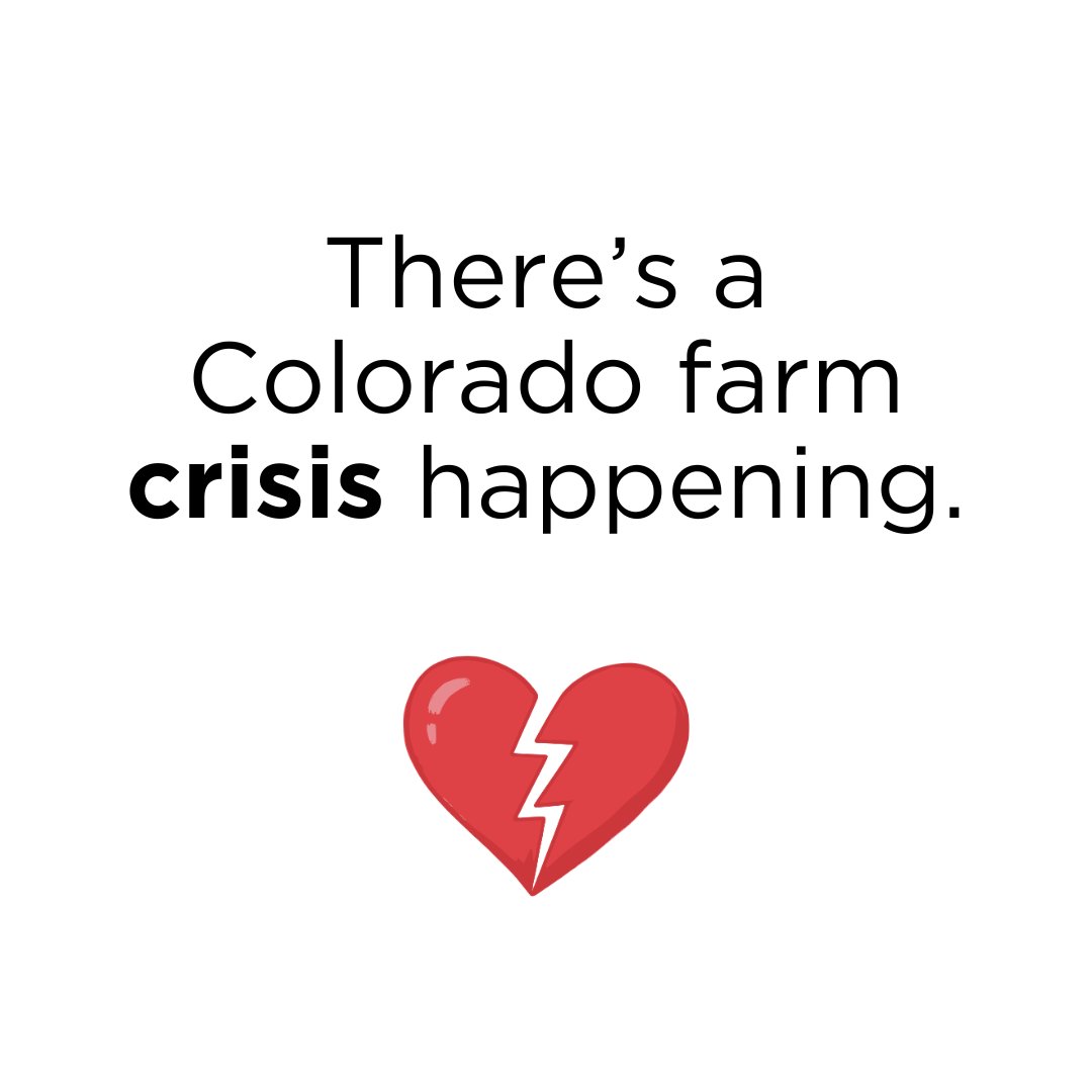 coloradoproduce's tweet photo. These aren’t just statistics; they represent livelihoods, communities, and our ability to produce local food. Now more than ever, Colorado agriculture is at a tipping point.

While farmers support fair wages, rigid overtime rules are creating unintended consequences for both farms and workers.

https://t.co/RItsJHuSJN