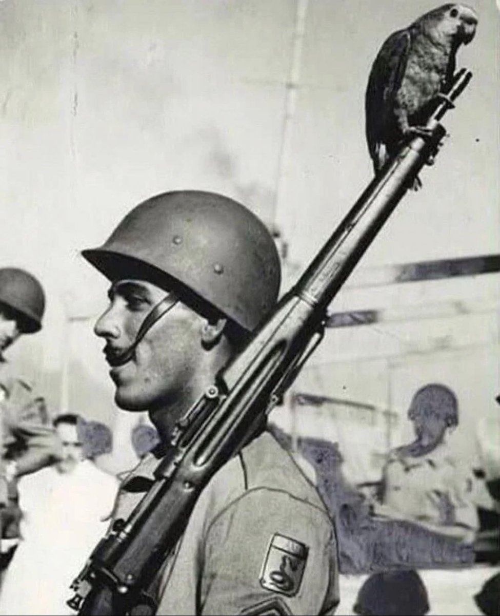 A Brazilian soldier with a parrot at the end of his rifle.