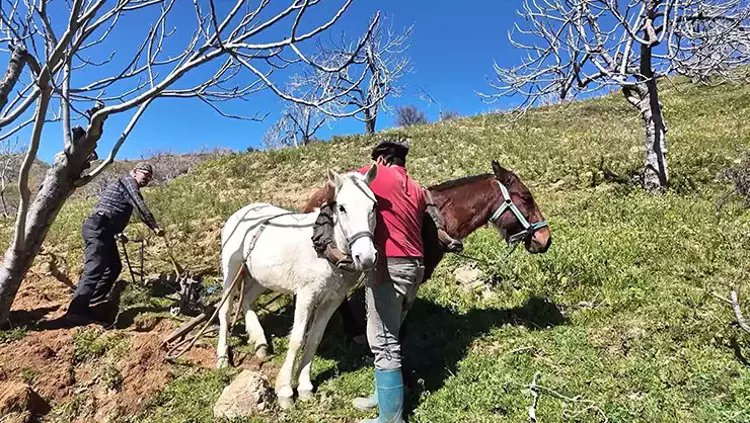 gündemio tweet media