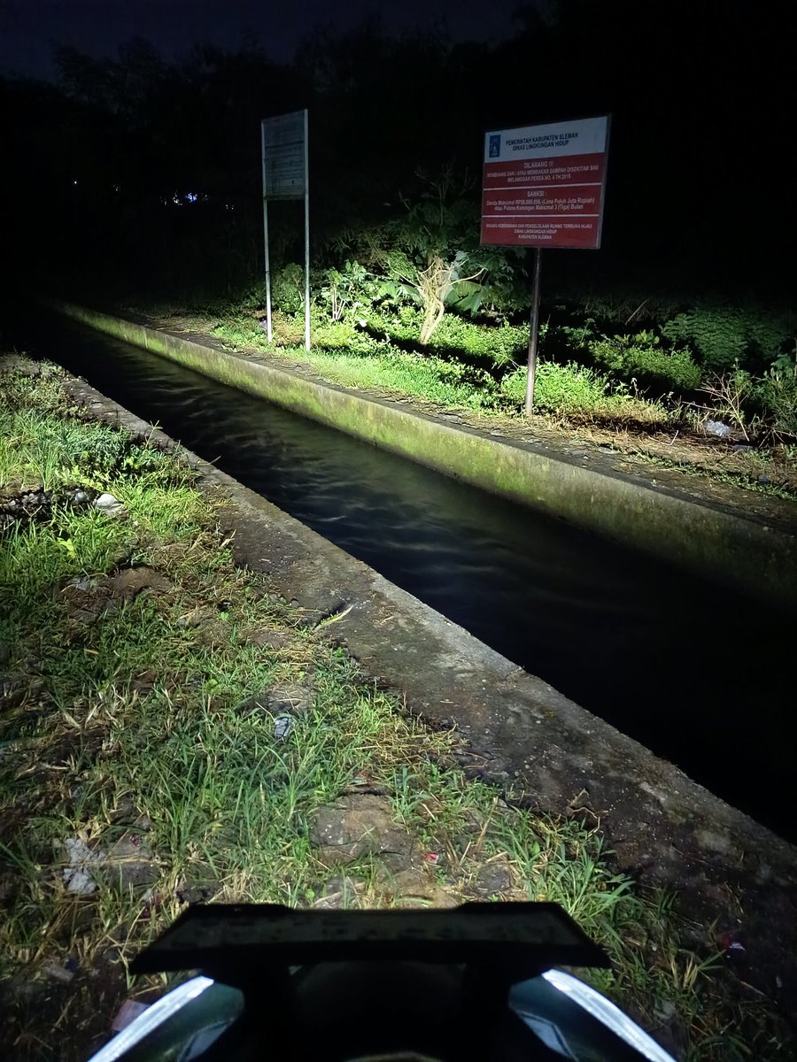 Belantara Lara tweet media