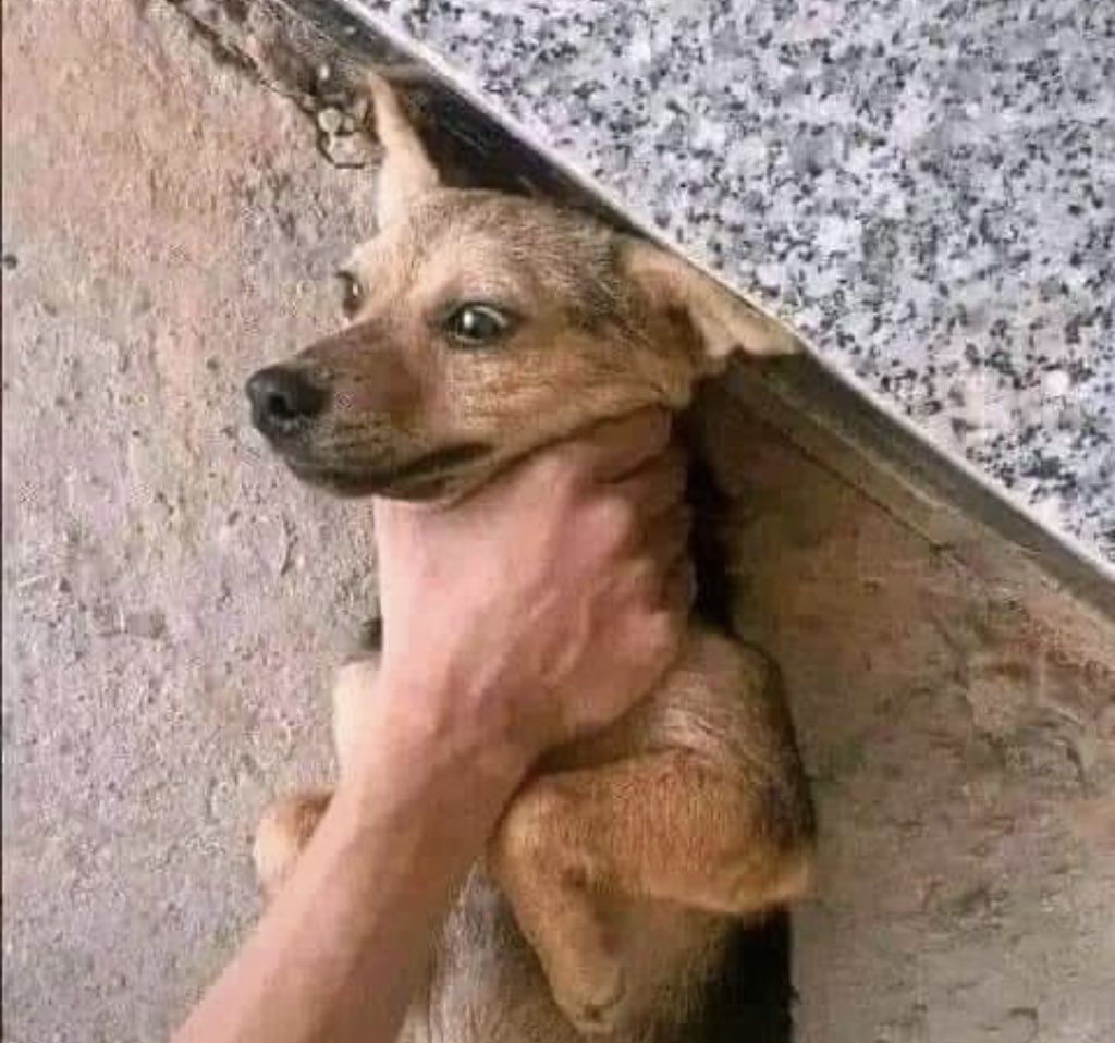 yisus el cristo tweet media