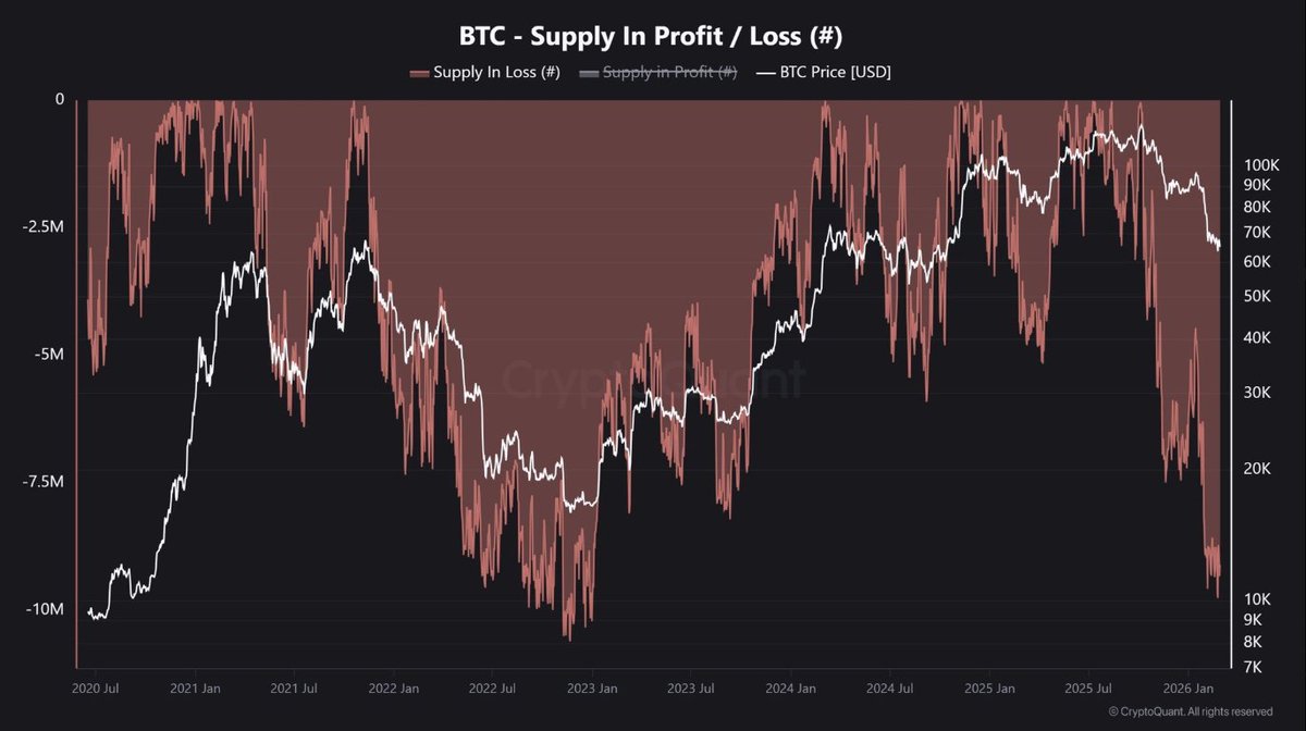 Whale Factor tweet media