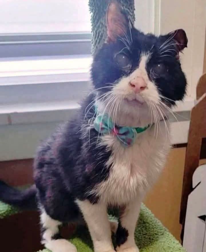 Elizabeth❣️ tweet media