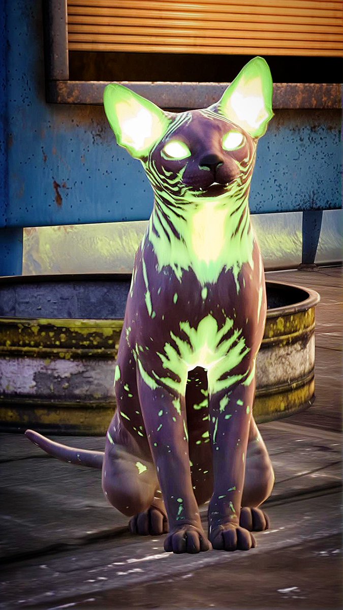 Hi SKUNK tweet media