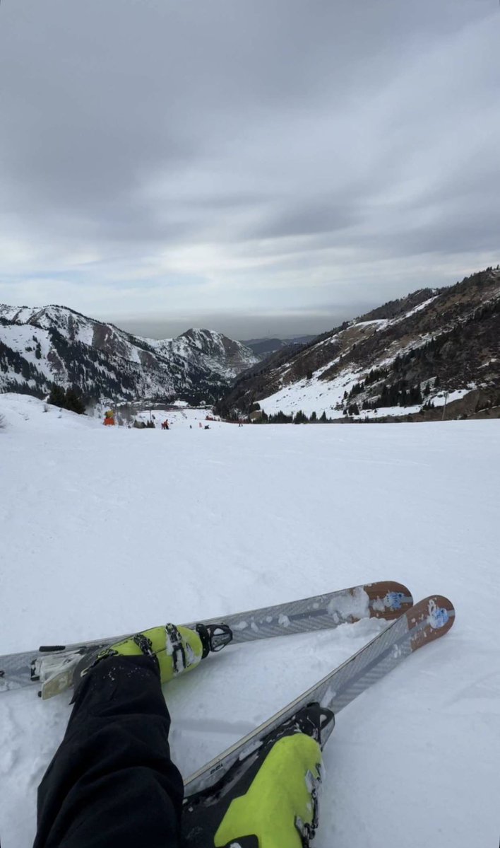 🇩🇪 tweet media