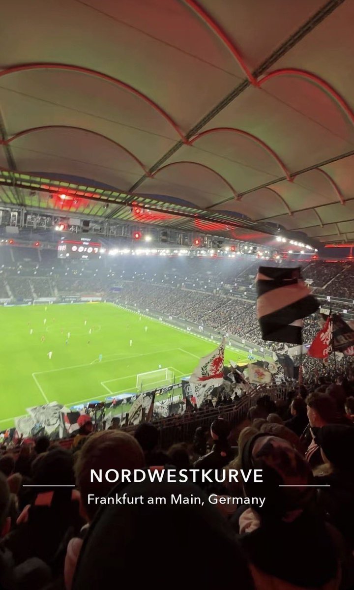 🇩🇪 tweet media