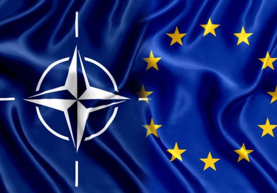 Danijela Rankovic tweet media