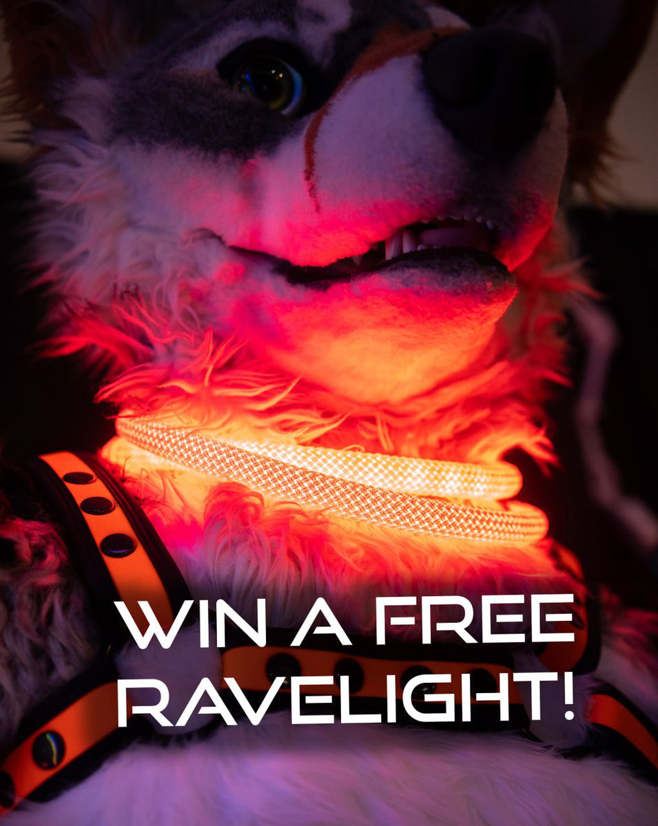 RAVELIGHTS tweet media