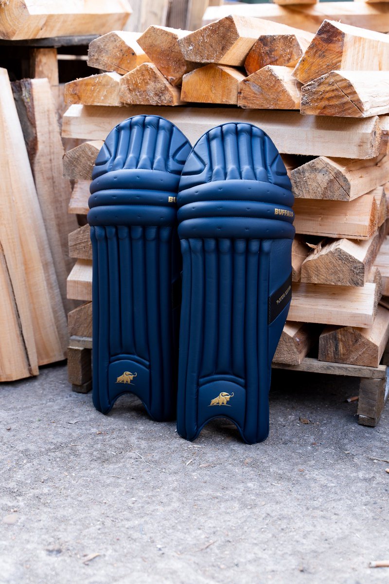 Buffalo Cricket 🐃🏏 tweet media