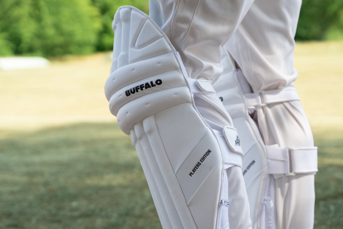 Buffalo Cricket 🐃🏏 tweet media