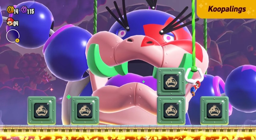 FalcoVille tweet media