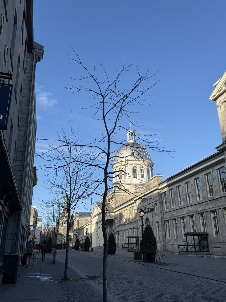 virgobxy's tweet photo. spending some time in montreal ✌️ https://t.co/caygSRRROW