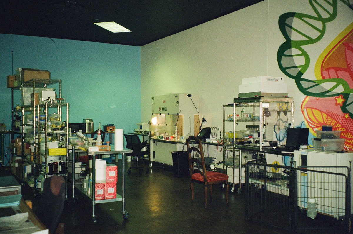 The ODIN tweet media