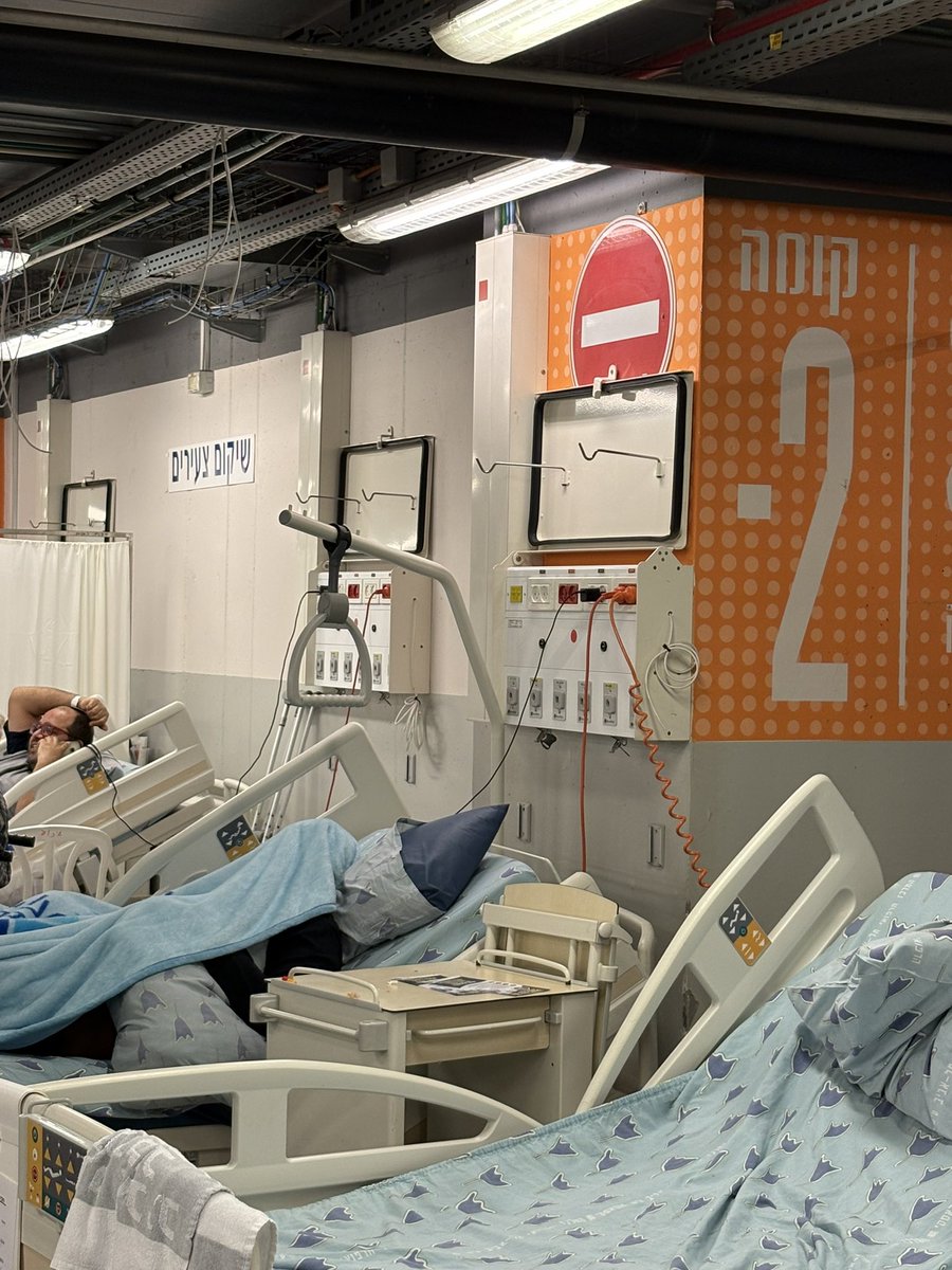 Veronika Kuchynova tweet media