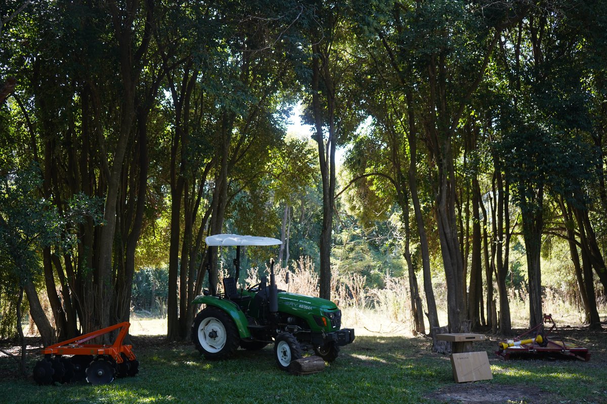 Mercedes Ciudad tweet media