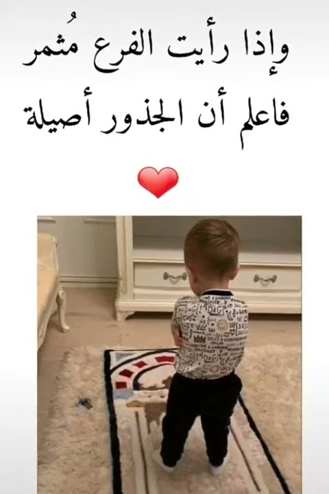 🕋 tweet media