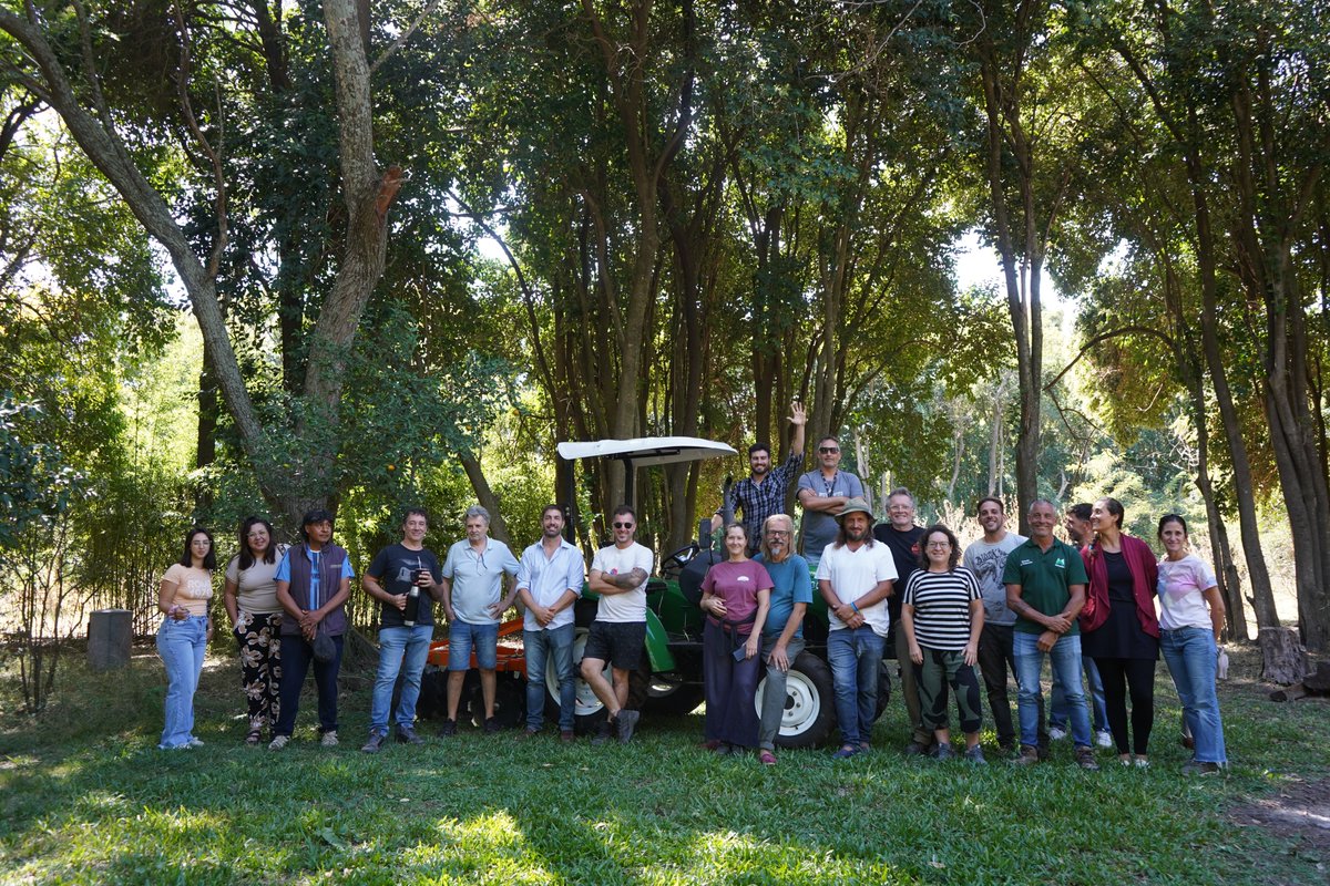 Mercedes Ciudad tweet media