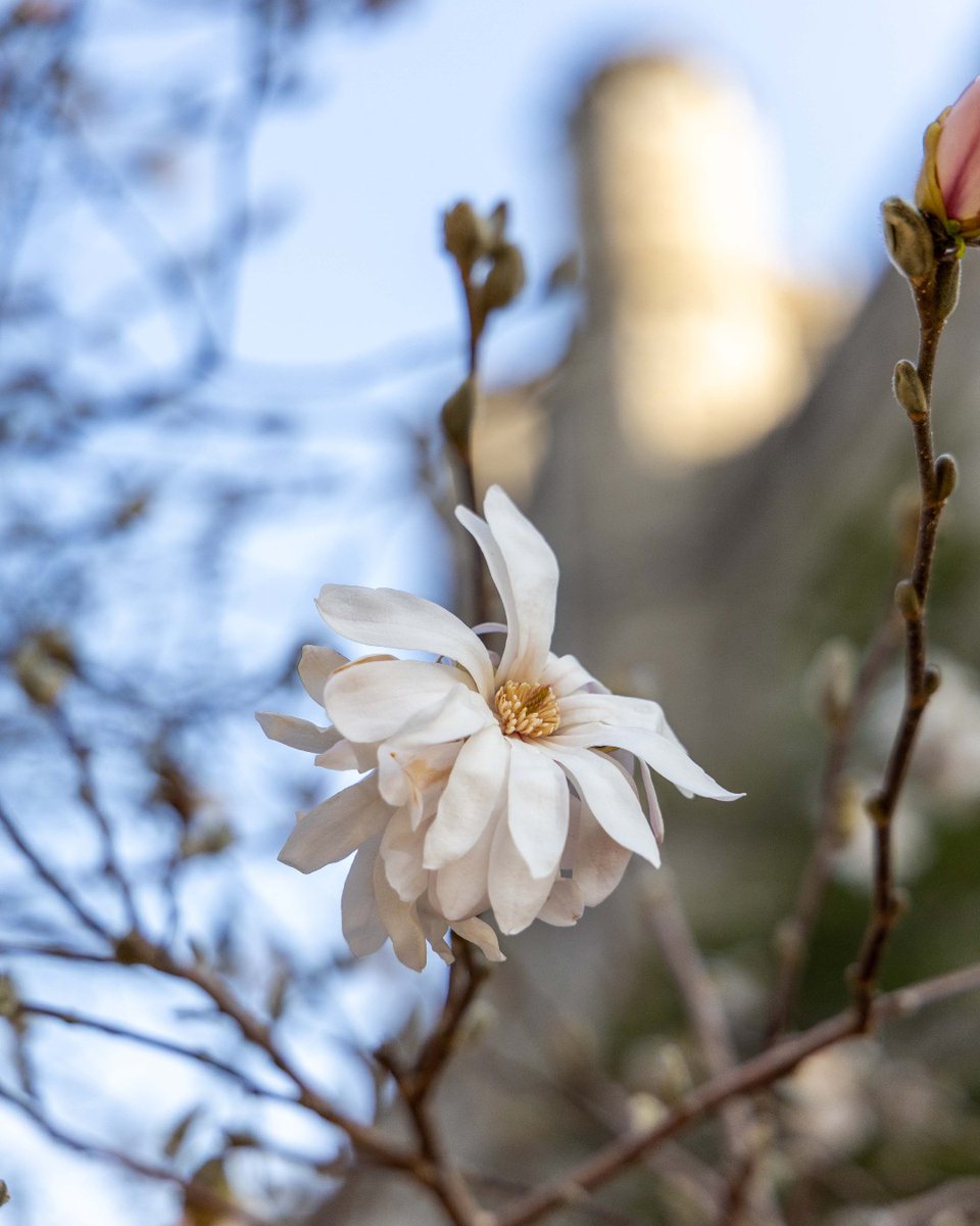 University of Central Missouri tweet media