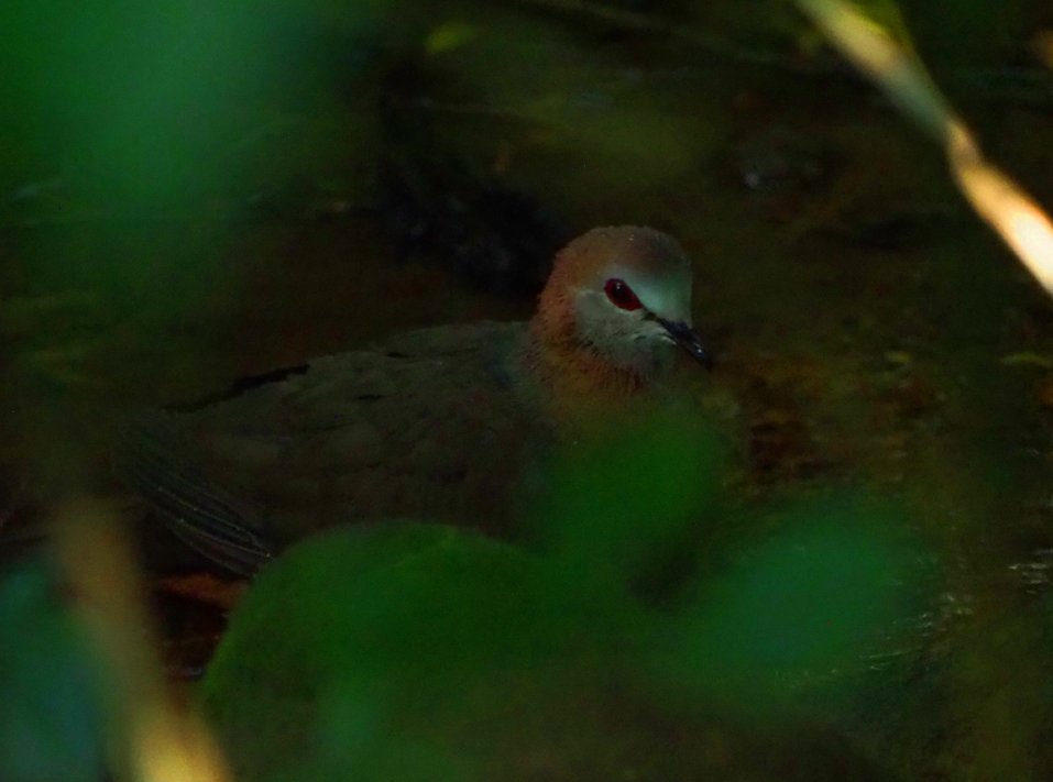 Brian E.Carruthers tweet media