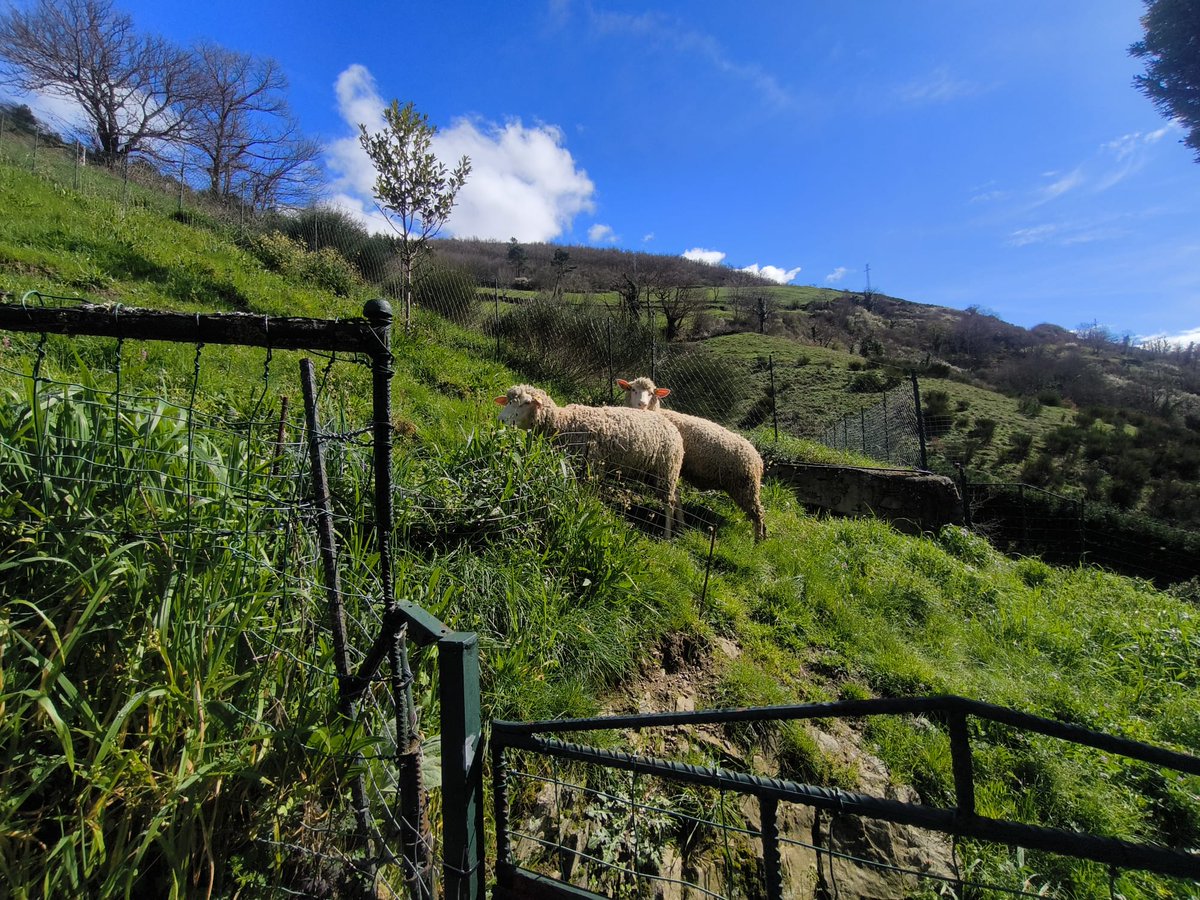 AGRIROVENAT tweet media