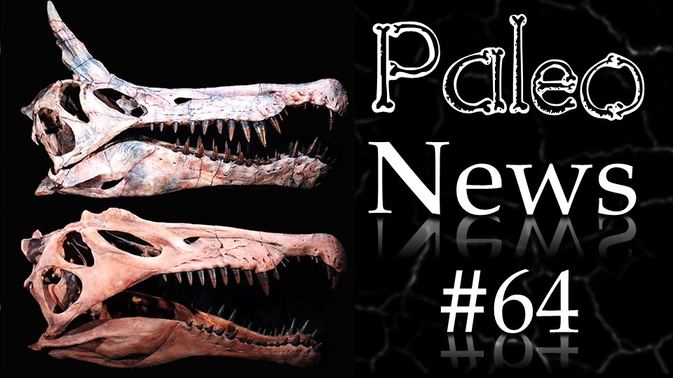 Paléonews tweet media