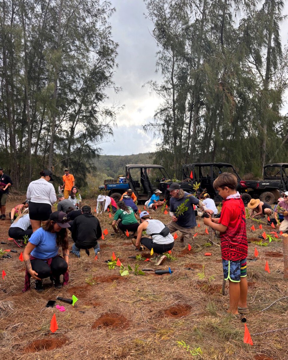 Surfrider Foundation tweet media