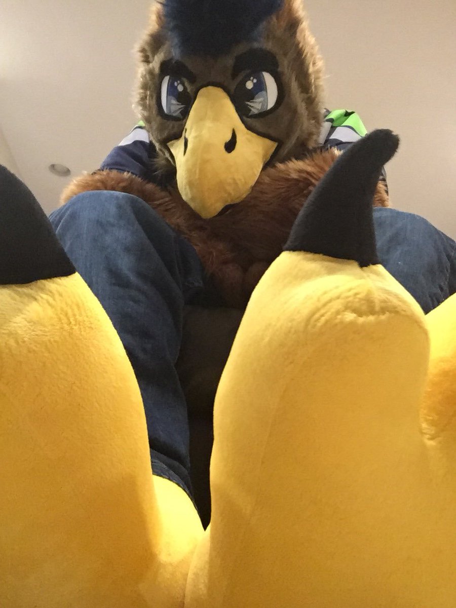 That freakin bird that I hate tweet media