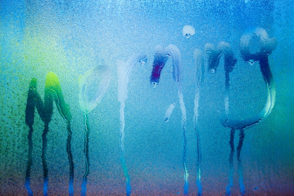 pilkingtonglass's tweet image. Spring often brings early‑morning condensation to the outside of high‑performance windows, and that’s a good thing! 
It happens when the outer #glass cools below the dew point, showing that the #glazing effectively keeps heat inside the home.
Read more: bit.ly/GlassCond