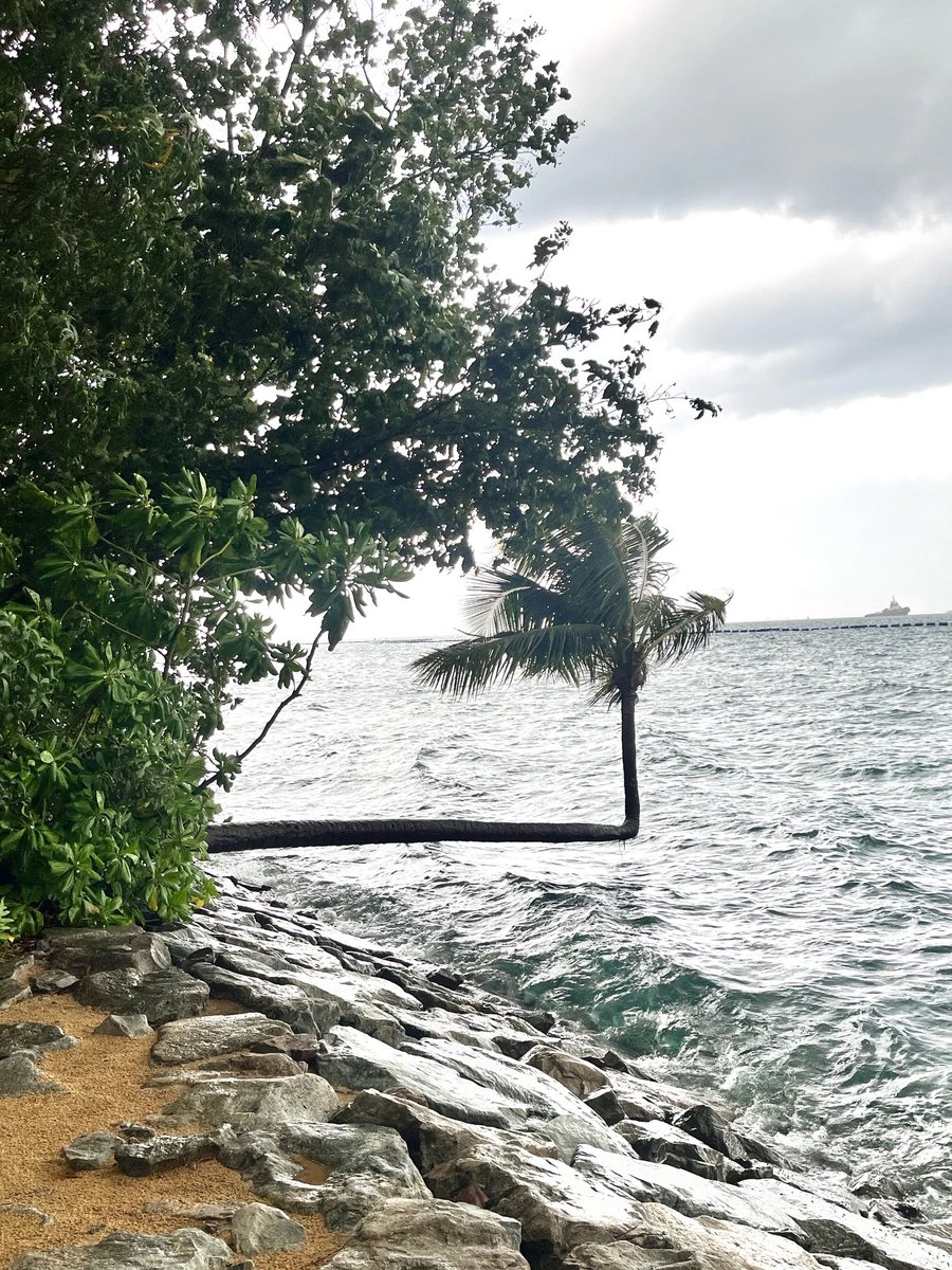 GraceYWas's tweet photo. The wind and waves are very strong at the beach today🍃 https://t.co/J9eYNn1PMF