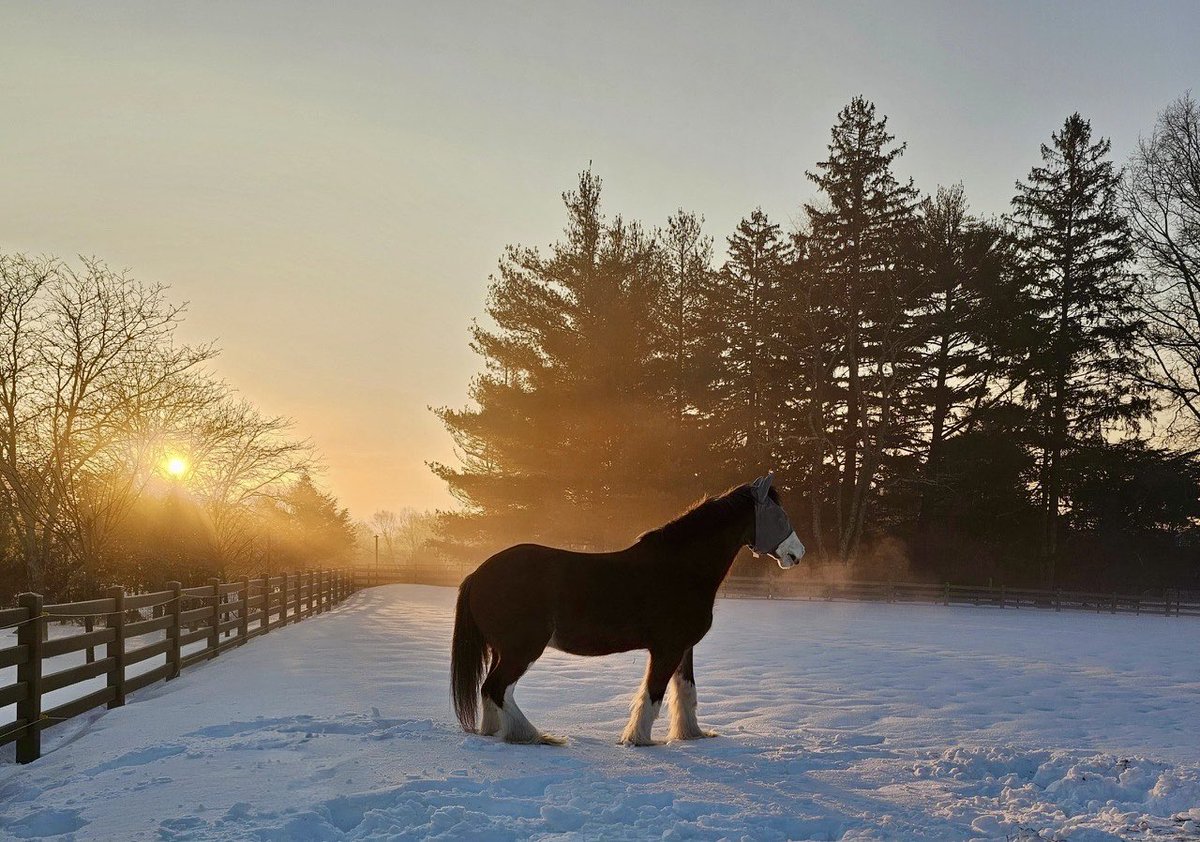 Providence Police tweet media