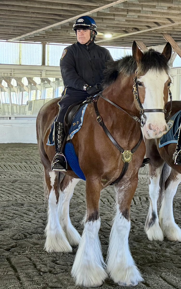 Providence Police tweet media