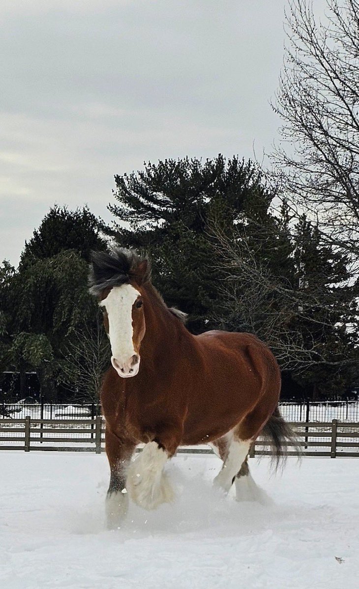 Providence Police tweet media