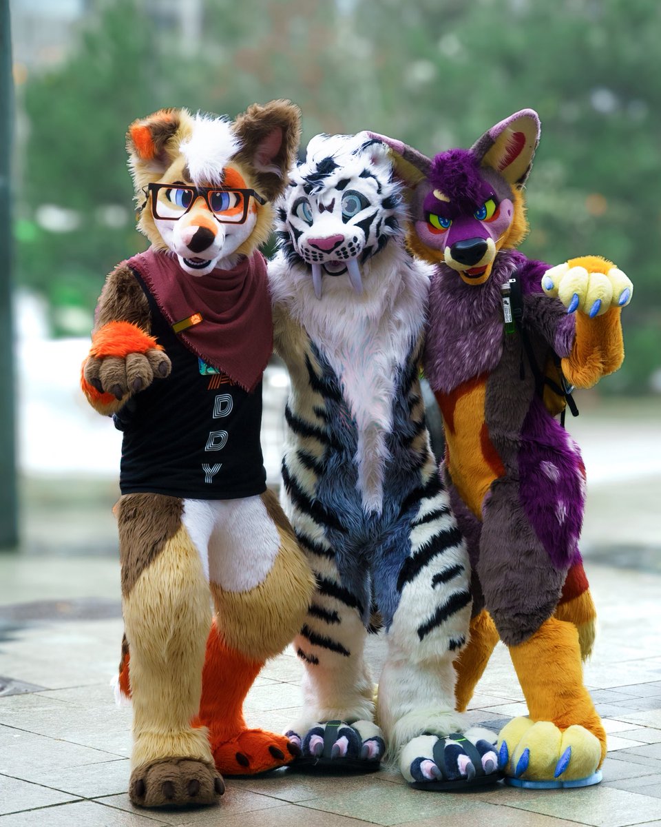 Baddy 🐾 tweet media