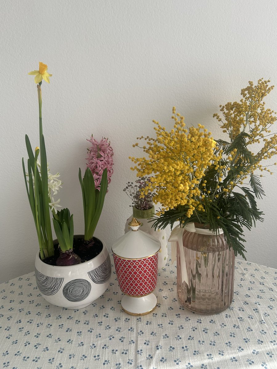 Покажу свой натюрморт