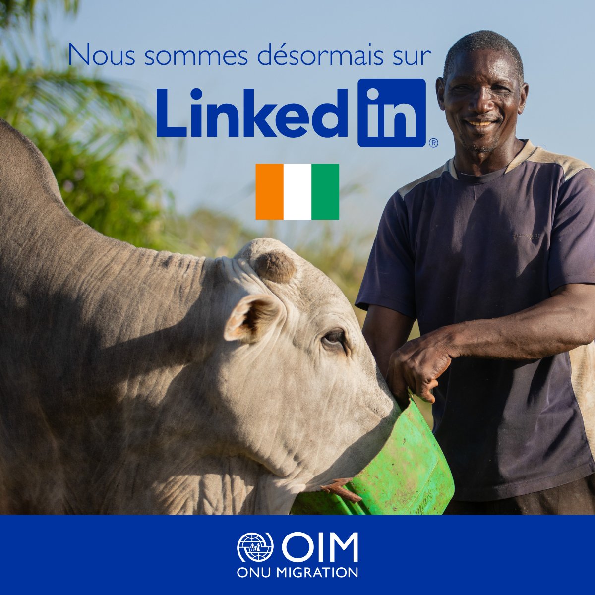 OIM Côte d'Ivoire tweet media