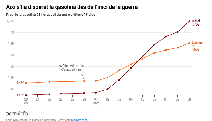 3CatInfo tweet media