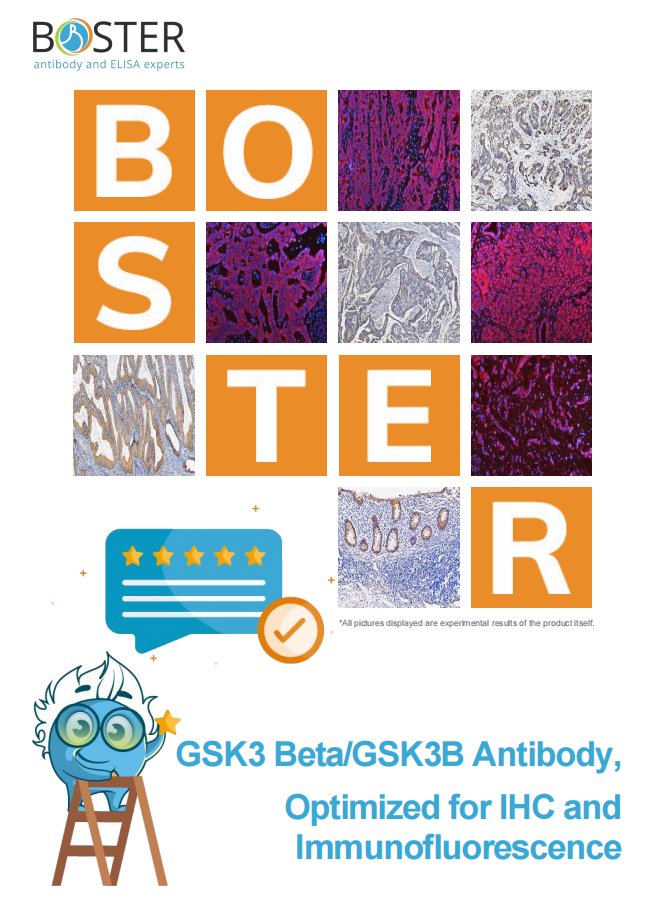 Boster Bio tweet media