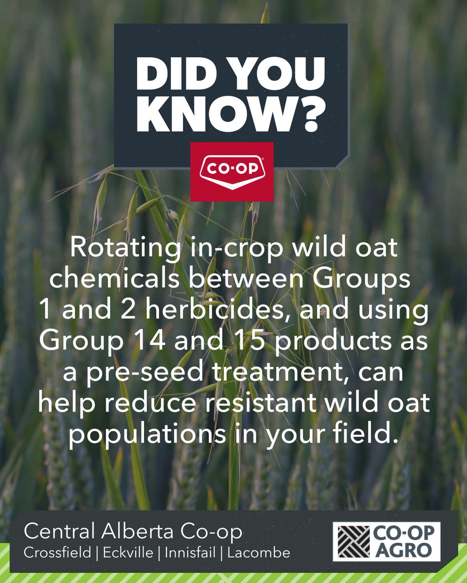 Central Alberta Co-op Agro tweet media