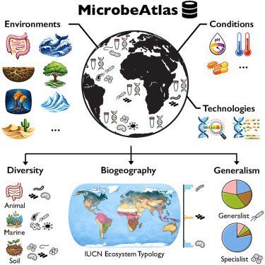 Javier del Campo tweet media