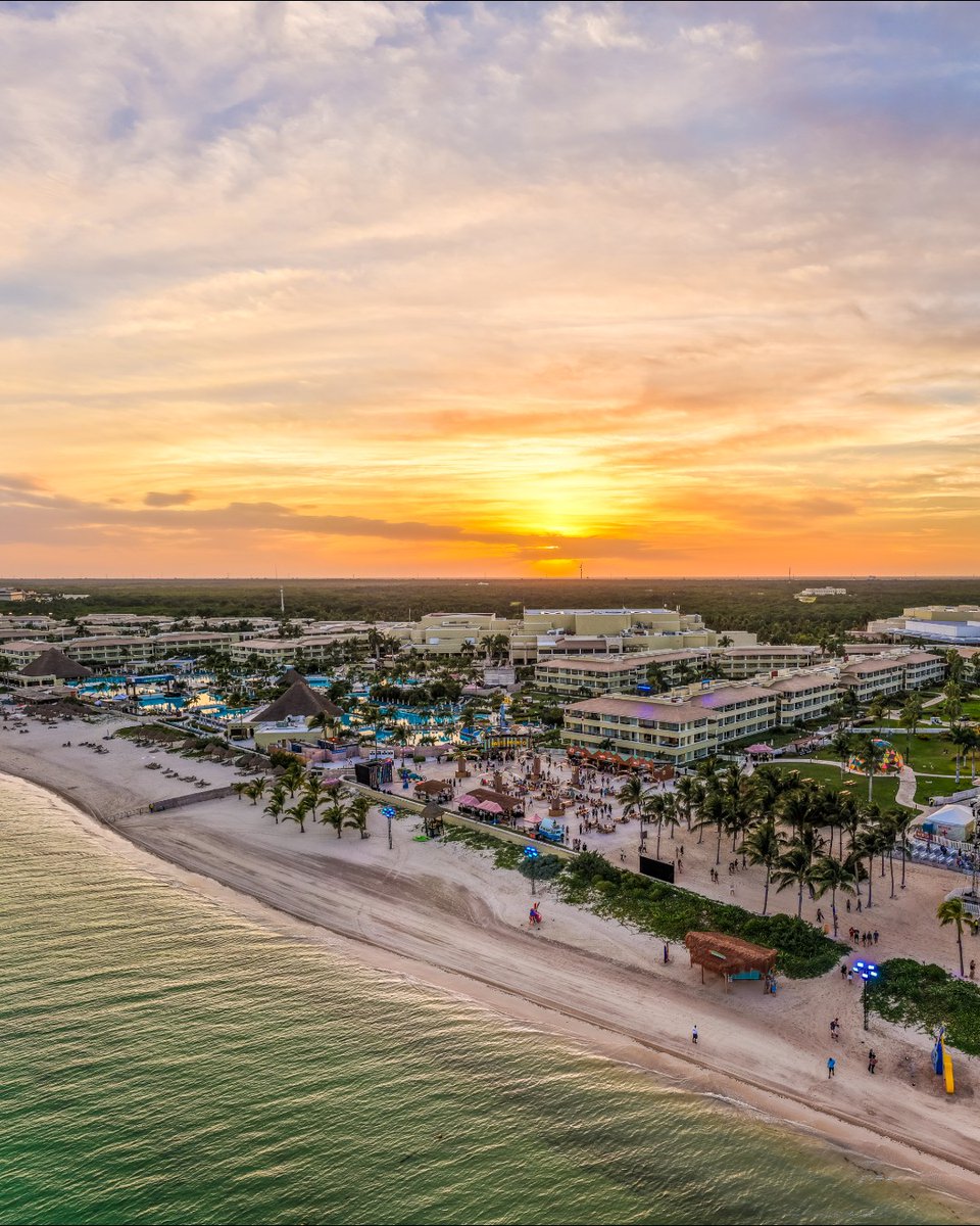 Crash My Playa tweet media
