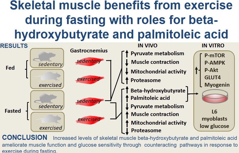 AJP-Cell Physiology tweet media