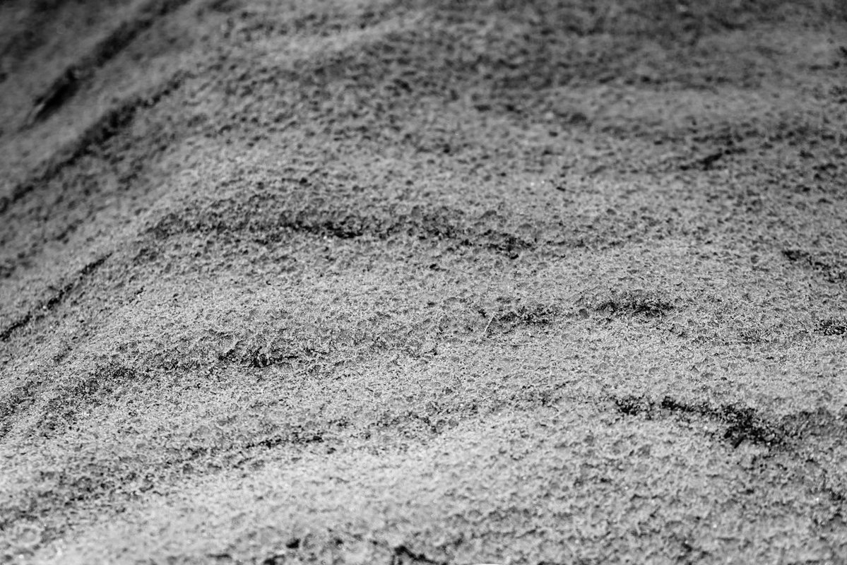 Heather N. Stout tweet media