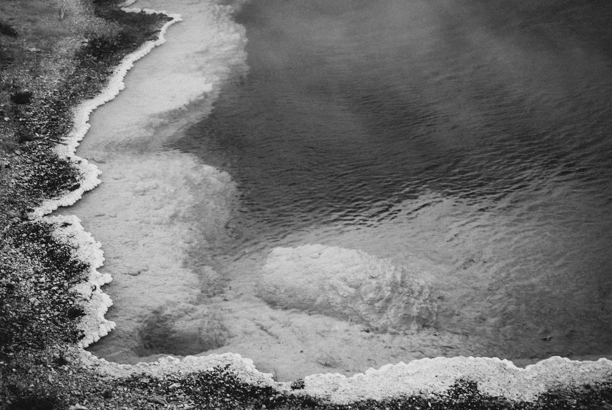 Heather N. Stout tweet media