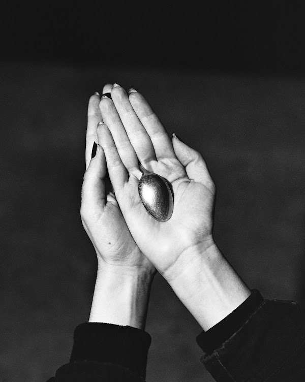 Obscura tweet media