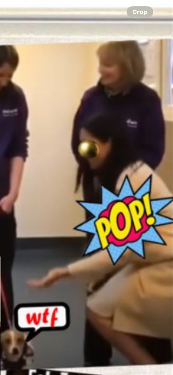 GOT SOME EXPLAINING to do!  I’ll never forget when you bent over to touch a dog at the shelter #MeghanMarkle.  We could all hear this “ pop” noise.  So hilarious 😹. The dog was not into you. They can sniff out evil. You’re an animal repellent.