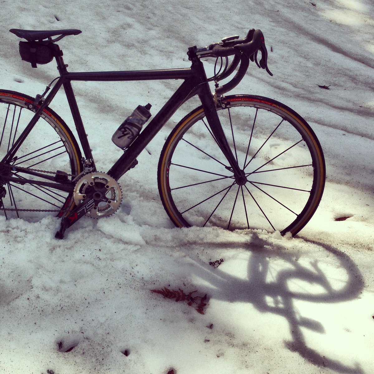 Kei Tsuji / 辻啓 tweet media