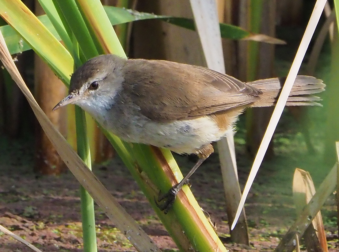 Brian E.Carruthers tweet media