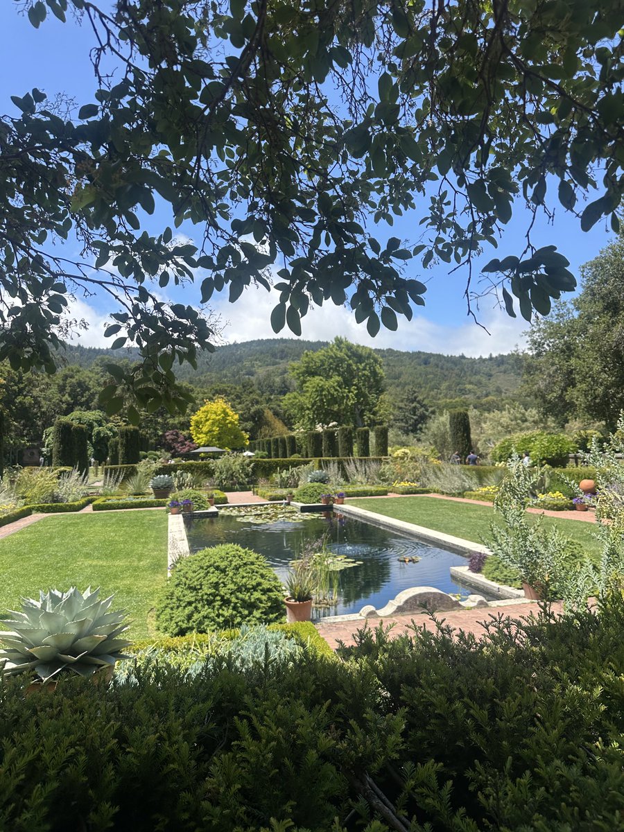 Kylie Robison tweet media