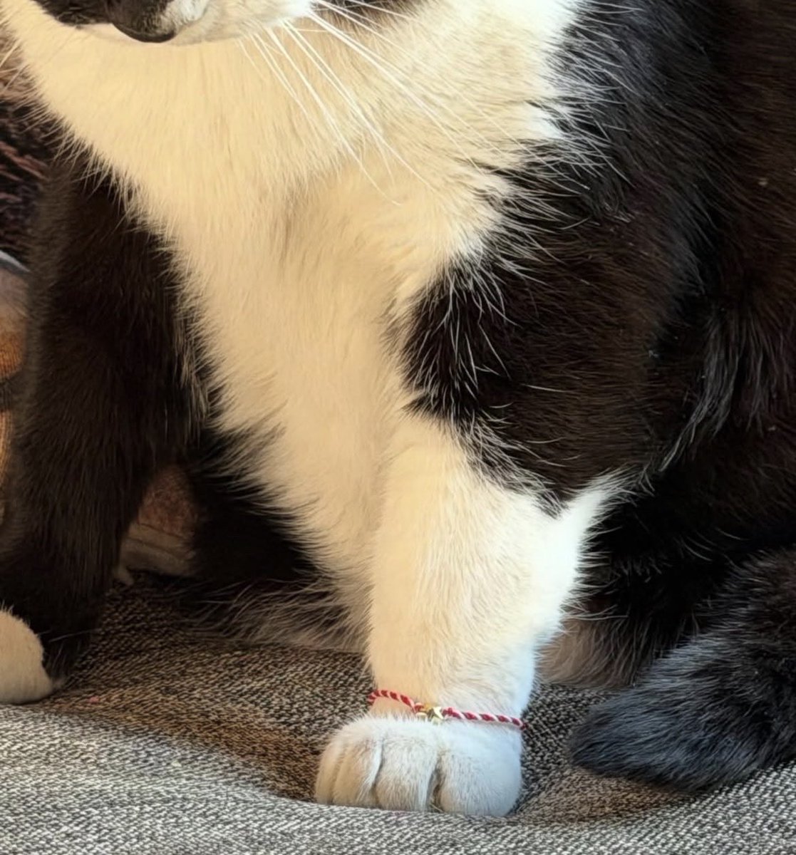 Yağmur (@ykuzeyii) on Twitter photo 