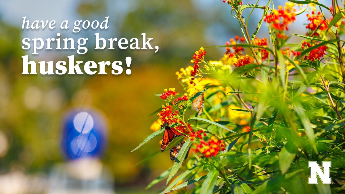 Nebraska School of Computing tweet media